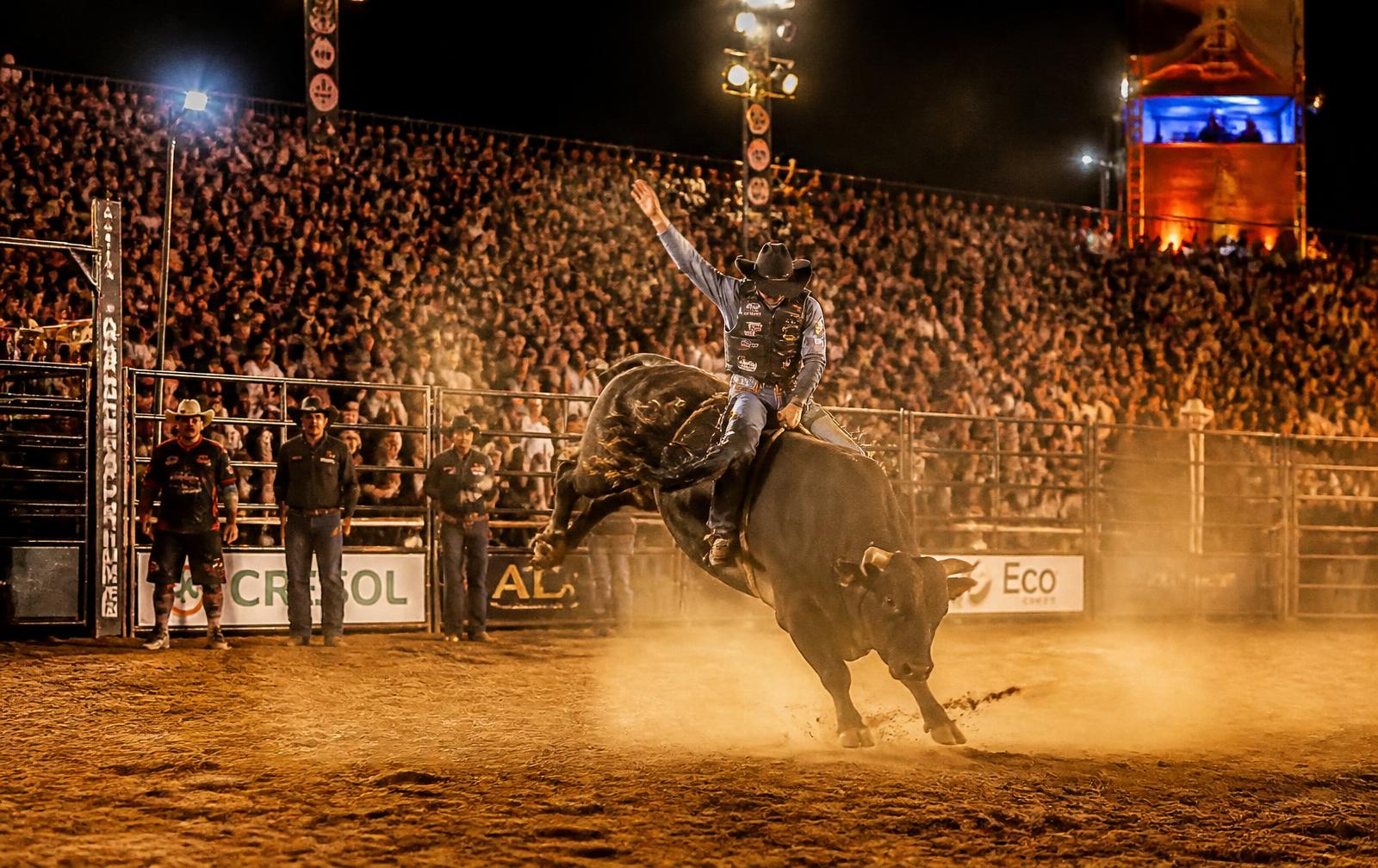Estrutura Completa para Rodeios